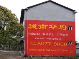 青阳百分之90的人都不了解的农村墙体广告