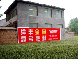 青阳如何让墙体广告展现最大化效果