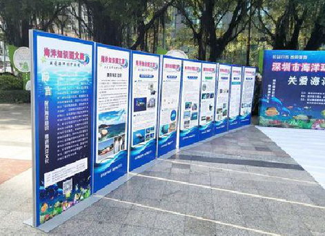 青阳KT板的种类和知识。